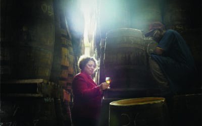 Rum aus Jamaika: Goldsaft aus dem Zuckerrohr