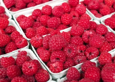 Himbeere: rot wie die Liebe und süß wie die Sonne