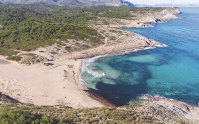 Mallorca – eine diffe­ren­zierte Liebes­er­klärung