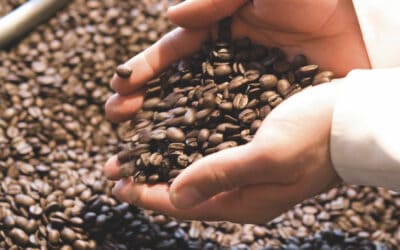 Genuss aus der Bohne