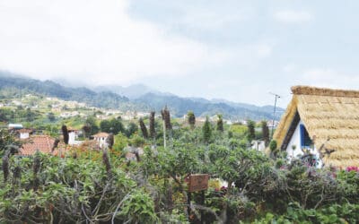 Ah – jetzt ja! – eine Insel!