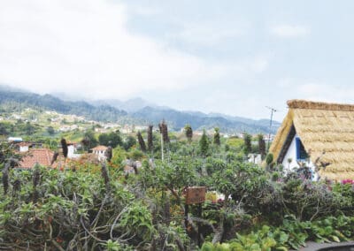 Ah – jetzt ja! – eine Insel!