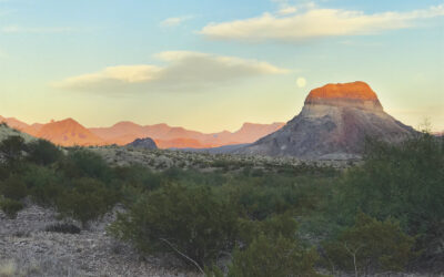 Aufbruch in den Westen Texas: Go West!