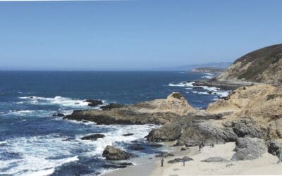 Auf Genie­ßertour  im Sonoma Valley